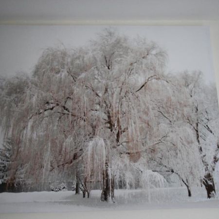 巴利马尼Longview House住宿加早餐旅馆 外观 照片